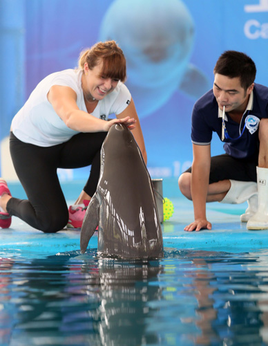 段落优化 段落优化