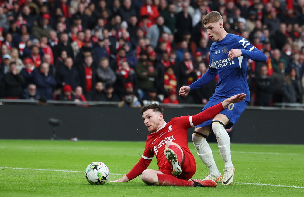 将得到放大 将得到放大